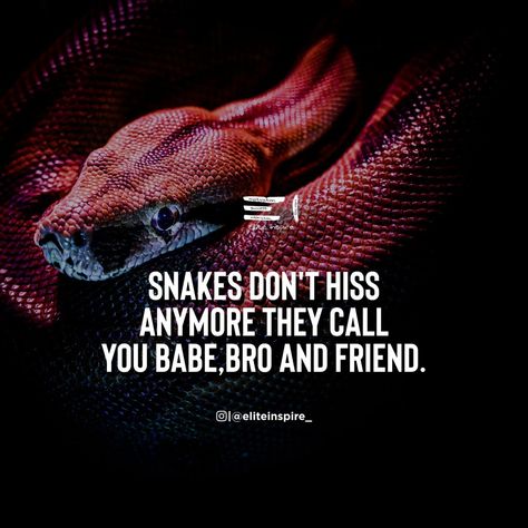 Snakes Quotes, I Got Me Quotes, Snake Quotes, Beautiful Sister Quotes, Fake Friend, Awakening Quotes, Evil People, Fake Friends, Sister Quotes