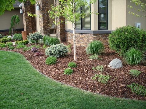 . Mulch Ideas, Garden Mulch, Grassy Meadow, Mulch Landscaping, Easy Plants, Diy Landscaping, Tall Plants, Garden Tips, Annual Plants