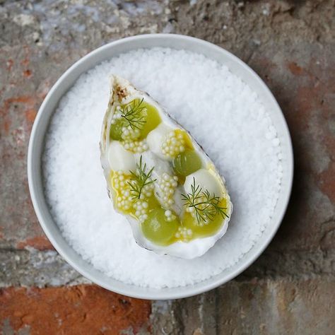 Tove Henckel on Instagram: “Oyster with cucumber, oyster mayonnaise, dill and vinegar @ Mutantur. #oyster #cucumber #mayonnaise #dill #mutantur #malmö #sweden . .…” Oyster Presentation Ideas, Oyster Plating, Oyster Presentation, Presentation Plan, Plating Presentation, Presentation Food, Whimsical Party, Michelin Star Food, Plating Ideas