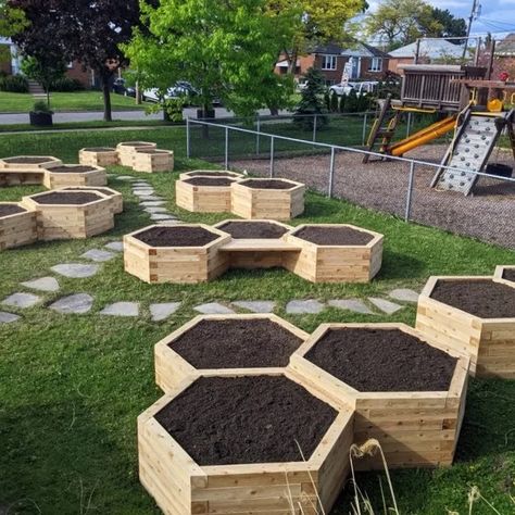 beth-torah-4_square-8d573bca.webp (631×631) Hexagon Raised Garden Bed, Wooden Raised Beds Garden Ideas, Backyard Set Up, Above Ground Garden Ideas, Container Garden Layout, Lumber Projects, Raised Bed Plans, Simple Garden Ideas, Building A Garden