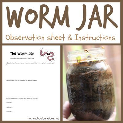 How to make a worm jar at home and a simple (and free) science observation sheet from Homeschool Creations. Nature School, Worm Farm, Kindergarten Science, Earthworms, School Garden, Preschool Science, Elementary Science, Homeschool Science, Science Fair