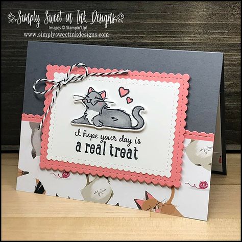 Playful Pets Suite 154136 Cards With Cats, Cat Cards Handmade, Stampin Up 2020 2021, Pet Sympathy Cards, Dog Sympathy, Cat Birthday Card, Pampered Pets, Pet Sympathy, Kitten Love