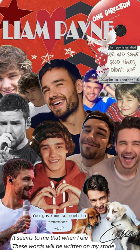 fly high liam. you will be missed. ❤️🕊️#liampayne #onedirection #rip #❤️ #wallpapers #music #1d #restinpeace Wallpapers Music, One Direction Liam Payne, Maybe In Another Life, In Another Life, Fly High, Liam Payne, One Direction, Good Times, Give It To Me