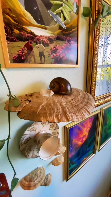 Forest Core Decor, Mushroom Decor Aesthetic, Dried Mushroom Decor, Fairycore Dining Room, Mushroom Apartment Decor, Wall Mushroom Decor, Forest Core Room Ideas, Mushroom Theme Bedroom, Mushroom Shelves Diy