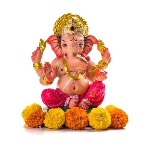 Hindu god ganesha. ganesha idol on white... | Premium Photo #Freepik #photo #flower #hands #face #india Ganesh Photos, Kissing Pranks, God Ganesh, Dancing Ganesha, Ganesha Idol, Diwali Lights, Ganesh Idol, Photoshop Backgrounds Free, Ganesh Wallpaper