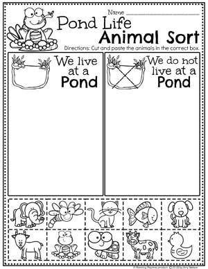 Preschool Worksheets Sorting - Animal Sorting Pond Theme Worksheets for Preschool #preschool #preschoolworksheets #pondtheme #planningplaytime #sortingworksheets Preschool Pond Life Theme, Pond Unit Preschool, Pond Worksheets Preschool, Frog Worksheets Preschool, Preschool Pond Theme, Pond Theme Preschool, Pond Life Preschool, Frog Theme Preschool, Pond Preschool