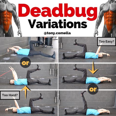 1,609 Likes, 38 Comments - Dr. Tony Comella PT, DPT, CSCS (@tony.comella) on Instagram: “. DEADBUG OPTIONS — The dead bug exercise has 2 main goals. First is to work on anti-extension…” Deadbug Exercise, Dead Bug Exercise, Workout Beginner, Bodyweight Workout Beginner, Bodyweight Workout, Body Weight, The Dead, Outdoor Power Equipment, Work On