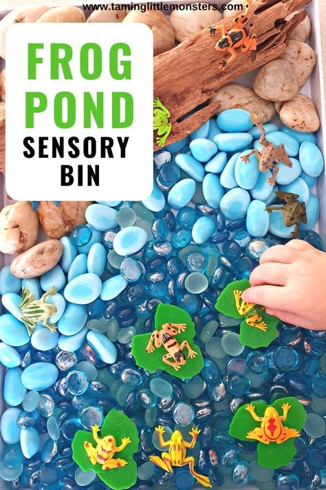 Spring Sensory Table Preschool, Sensory Bins Spring, The Lorax Sensory Bin, Frog Pond Sensory Bin, Spring Time Sensory Bin, Vet Sensory Bin, Spring Themed Sensory Bin, Sensory Bucket Ideas, Spring Sensory Table Ideas