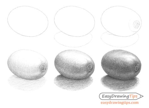 Kiwi Sketch, Kiwi Fruit Drawing, Shading Examples, Kiwi Drawing, Pear Drawing, Drawing And Shading, Fruit Art Drawings, Art Teacher Resources, Shading Drawing