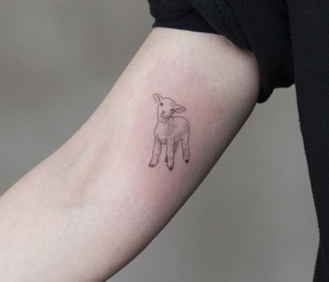 Dainty Lamb Tattoo, Lamb Fine Line Tattoo, Lamb Face Tattoo, Lost Lamb Tattoo, Norway Inspired Tattoos, Fine Line Sheep Tattoo, Worthy Is The Lamb Tattoo, Tiny Lamb Tattoo, Lamb Outline Tattoo