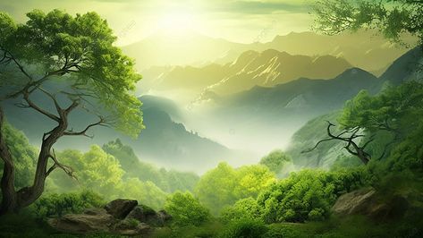 nature forest sun ecology Tree Irrigation, Indian Constitution Day, Big Forest, Cartoon Forest, Hd Happy Birthday Images, Tree Cartoon, Free Background Photos, Natural Forest, Cartoon Green