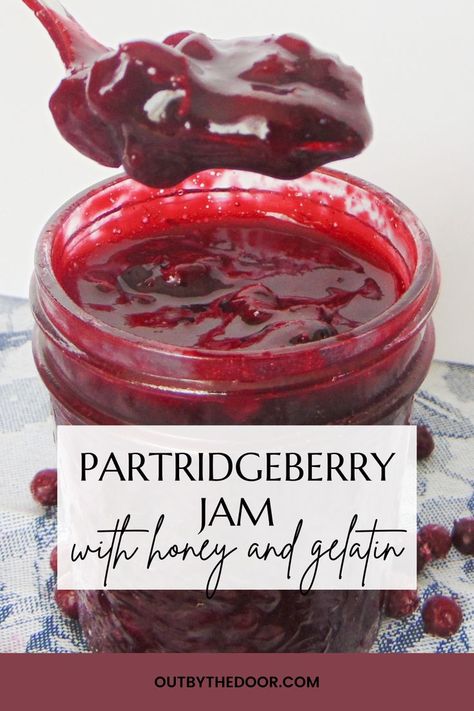 This homemade wild partridgeberry (lingonberry) jam sweetened with honey and thickened with gelatin is one of our favorite low-sugar, all-natural jams and makes a perfect sweet filling for baked goods, and a delicious side dish for meats and poultry. Partridge Berry, Lingonberry Jam, Jam And Jelly, Berries Recipes, Jam Recipe, Healthy Homemade Recipes, Jams & Jellies, Jam Recipes, Partridge