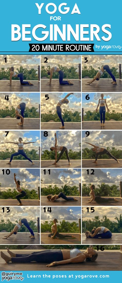 Learning Yoga, Essential Yoga Poses, Yoga Routine For Beginners, Yoga Nature, 20 Minute Yoga, Poses Yoga, Yoga Beginners, Poses For Beginners, Beginner Yoga