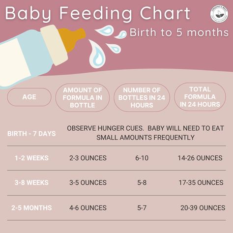 🍼🌟 Feed the Wonder: Nourishing Your 1-Month-Old! 🌈✨ Our freshest blog article is your go-to guide on navigating the delicate balance of breast milk and formula for your 1-month-old #BabyFeedingJoy #LittleWonders #OrganicNurturing Newborn Formula, Formula Fed Babies, Baby Feeding Chart, 1 Year Baby, Newborn Schedule, Baby Information, 3 Month Old Baby, Newborn Mom, Baby Sleep Schedule