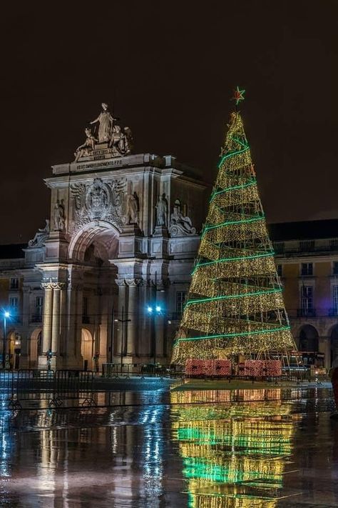 Portugal Christmas, Christmas Light Projector, Nite Lights, Big Christmas Tree, Tree Removal, Xmas Trees, Xmas Lights, Beautiful Christmas Trees, Christmas 2022