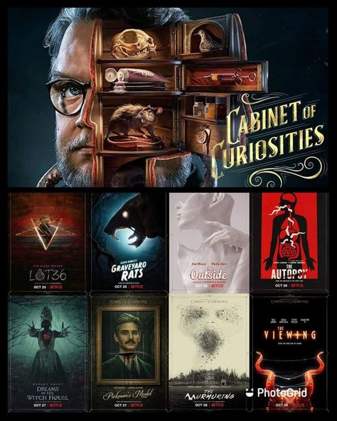 Cabinet Of Curiosities, Witch House, Best Series, Graveyard, The Outsiders, Witch, Film, Movie Posters, Art