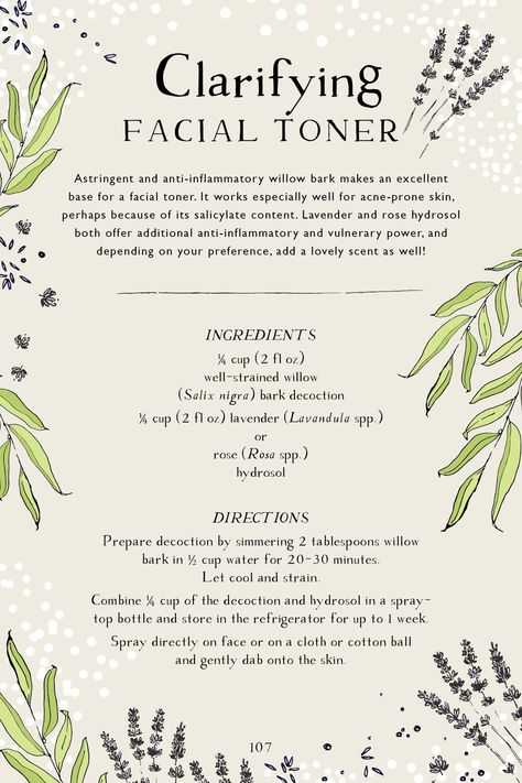 Botanical Skin Care Recipe Book Page Preview – Clarifying Facial Toner Body Care Recipes, Herbal Academy, Botanics Skin Care, Herbal Skin Care, Diy Facial, Herbal Magic, Astringent, Skin Care Recipes, Facial Toner