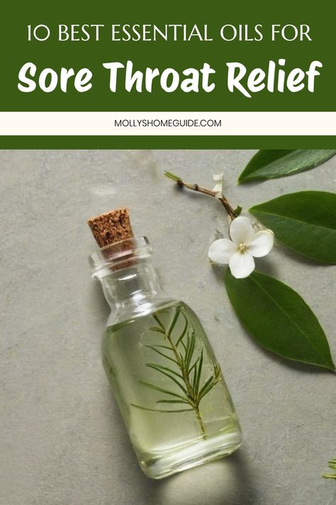 Explore the top 9 essential oils for sore throat relief. Discover the benefits & how to use these amazing oils for respiratory support. Try out essential oil blends like immune boosting and cough and congestion relief blends. Make your own DIY throat spray or homemade cough drops with honey using essential oils known for their soothing properties. Find comfort and relief with diffuser blends designed specifically for sore throats. Enhance your wellness routine with these 15 best essential oils r Essential Oil Sore Throat Spray, Essential Oils For Respiratory Infection, Strep Throat Essential Oils, Oil For Sore Throat, Oils For Respiratory Support, Essential Oils For Sore Throat, Sore Throat Essential Oils, Throat Relief, Oils For Sore Throat