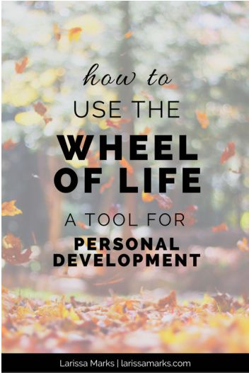 Personal Development Plan Example, Systemisches Coaching, Life Coaching Business, Balance Wheel, Life Coaching Tools, Life Tools, Personal Development Plan, Coaching Tools, Wheel Of Life