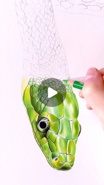 Python Drawing, Snake Drawing, Snake Art, Pencil On Paper, Color Pencil Art, Color Powder, Drawing Videos, Colorful Drawings, Pencil Art