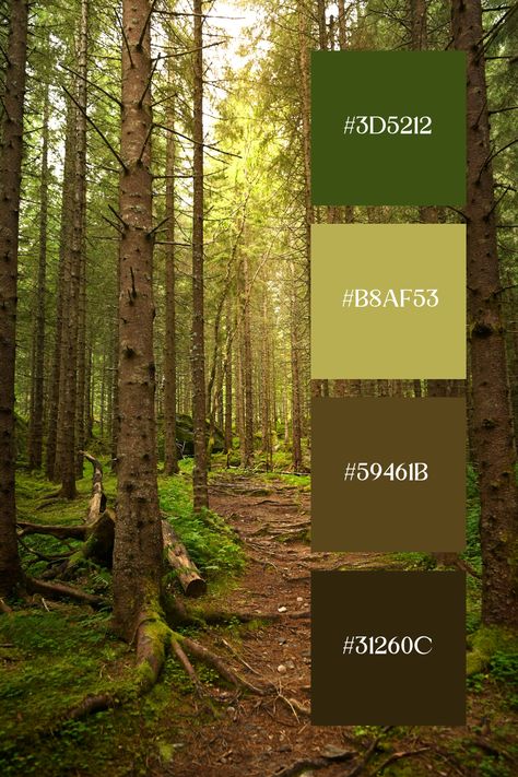 This green and brown palette depicts a serene forest path surrounded by tall trees and green undergrowth, showcasing the blend of earthy browns and vibrant greens. Earthy Color Schemes Colour Palettes, Green And Brown Palette, Forest Colour Palette, Forest Green Palette, Green And Brown Color Palette, Forest Color Palette, Unique Color Names, Color Scheme Generator, Paint Color Combos