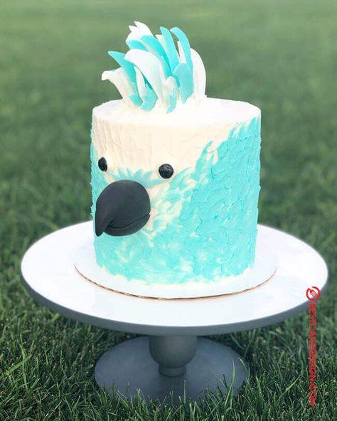 50 Bird Cake Design (Cake Idea) - February 2020 Cake Bird Theme, Bird Shaped Cake, Tropical Bird Cake, Parrot Cake Ideas, Parrot Birthday Cake, Cockatoo Cake, Bird Cakes Birthday, Bird Cake Ideas, Bird Cake Design