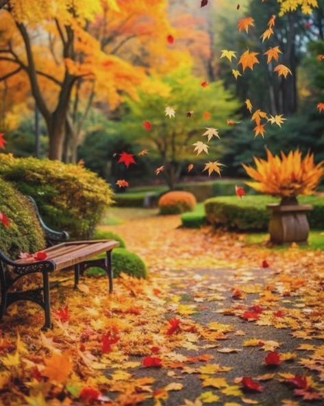 Aesthetic Scenes, Outside Aesthetic, Aesthetic Exterior, Autumn Pictures, Fall Landscape Painting, Autumn Photos, Woman Character, Aesthetics Wallpaper, Outdoor Fairy Lights