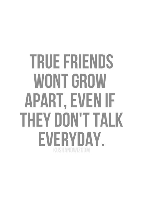 True friends won't grow apart, even if they don't talk every day. True Friendship, True Friends, A Quote, Friends Quotes, Friendship Quotes, The Words, Great Quotes, Beautiful Words, Mantra