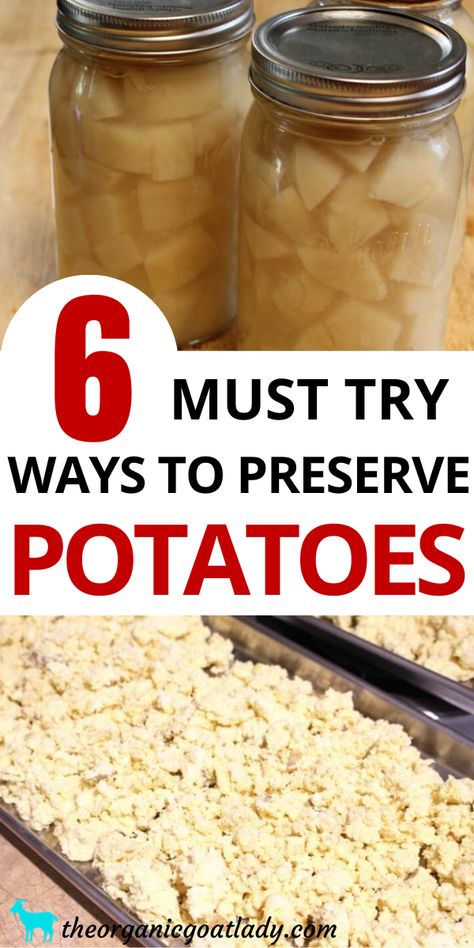 Preserve Potatoes, Freezing Potatoes, Canning Potatoes, Dehydrate Potatoes, Preserving Vegetables, Neuer Wallpaper, Canning Sweet Potatoes, Canned Potatoes, Food Preserving