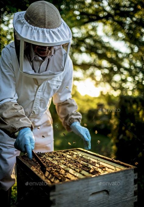 Beekeeper Photoshoot, Bee Photoshoot, Bee Cottage, Bottle Shoot, Bee Photography, Bee Farm, School Murals, Bee Keeper, Birds And The Bees