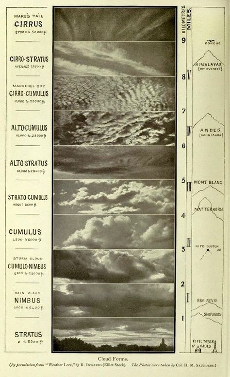 Stratus Clouds, Cloud Atlas, Cloud Illustration, Moon Clouds, Andes Mountains, Cloud Drawing, Meteorology, Nature Study, The Eiffel Tower