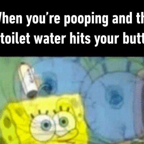 9GAG: Go Fun The World on Instagram: "a kiss from the toilet water - #toilet #bathroom #eww #memes #9gag" Toilet Memes, Tax Memes, Unisex Toilets, Weird Memes, Toilet Humor, Us School, Toilet Bathroom, A Kiss, Really Funny Memes