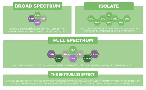 When you’re buying CBD, you might notice the words "Full Spectrum, "Broad Spectrum," and "CBD Isolate." What do these words mean? This article explains the differences and usages of the three main types of CBD oil. Refined Coconut Oil, Keeping A Journal, Skin Disorders, Mct Oil, Free Online Courses, Hemp Seed Oil, Quick Guide, Best Wordpress Themes, Hemp Oil