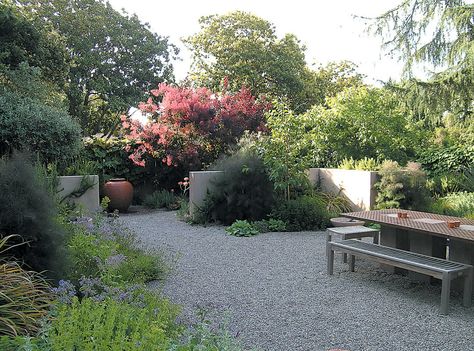 edgewood house, palo alto Outdoor Dining Room, Gravel Garden, Landscape Designer, Green Lawn, Desert Plants, Side Yard, Bedding Plants, Kitchen Garden, Mulch