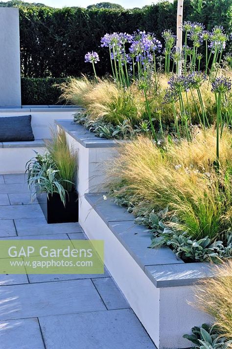 Raised beds planted with grasses and agapanthus in a low maintenance contemporary garden. Description: Vogue. Designer: Belinda Belt Sponsor: London Stone Crowder's Nursery Planting Ideas For Raised Beds, Contemporary Flower Bed Ideas, Low Maintenance Raised Garden Beds, Contemporary Raised Garden Beds, Agapanthus And Grasses, Raised Bed With Stones, Agapanthus Landscaping Garden Design, Raised Garden Borders, Raised Border Planting Ideas