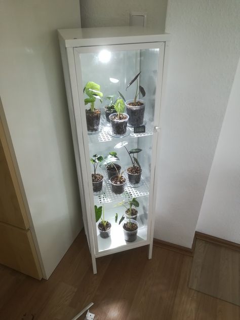 Cabinet Greenhouse, Plant Cabinet, Greenhouse Cabinet, Ikea Greenhouse, Ikea Cabinet, Crested Geckos, Diy Cabinet, Cabinet Diy, Deco House