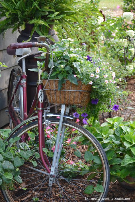 Pretty Bikes, Bicycle Planter, Diy Bicycle, Bike Baskets, Garden Board, Bicycle Baskets, Bicycle Decor, Flower Baskets, Dream Yard