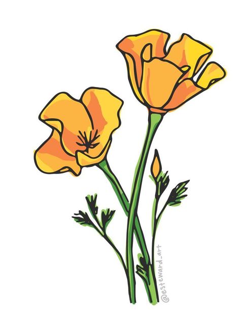 California Poppies | acrylic painting food
, kitchen artwork painting
, kitchen artwork painting
, acrylic painting kitchen art
, oil painting food
, kitchen paintings art wall decor
, kitchen paintings art wall decor bohemian
, fruit wall art
, fruit art print
, fruit painting prints
, abstract fruit painting
, fruit canvas painting California Poppy Line Drawing, California Poppy Drawing, Poppies California, California Drawing, California Poppy Painting, Poppy Symbolism, Poppies Illustration, Poppy Illustration, California Poppy Tattoo