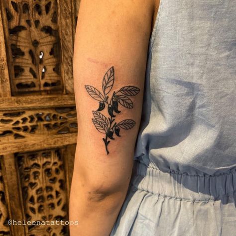 Heleena on Instagram: “Chilli plant for the lovely Maya 🌶🌿 Thank you so much for travelling so far!” Chilli Plant Tattoo, Chilli Tattoo, Chili Pepper Plant, Chilli Plant, Plant Tattoo, Pepper Plants, Tree Tattoo, Chili Pepper, Thank You So Much