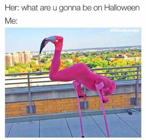 At first I was like "what’s wrong with it’s l legs?" Then I felt stupid Flamingo Halloween Costume, Aunt Peaches, Epic Halloween Costumes, Epic Costumes, Flamingo Costume, Amazing Halloween Costumes, Man Cosplay, Feel Good Stories, Halloween Costume Contest