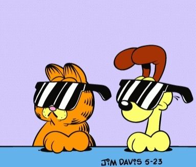 Odie Garfield, Garfield And Odie, Yeah Yeah, Orange Tabby, Tabby Cat, Sunglasses, On Twitter, Orange, Dogs