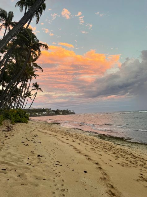 Orange Sunset Beach, Uh Manoa, Sunset Palm Trees, Sunset Pic, Hawaii Pictures, Hawaiian Sunset, North Shore Oahu, University Of Hawaii, Hawaii Life