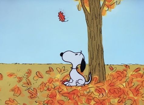 Peanuts Fall Aesthetic, Fall Peanuts Aesthetic, Snoopy Laptop Wallpaper, Snoopy Autumn, Halloween Sketches, Snoopy Fall, Peanuts Thanksgiving, November Vibes, Scrapbook Prints