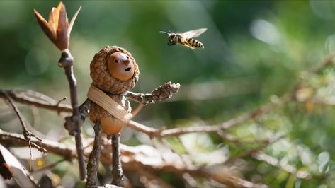 Diy Acorn Crafts, Acorn People How To Make, Whimsical Bird Houses, Wall Command Center, David Bird, Acorn People, Acorn Art, Woodland Fairies, Pet Diy