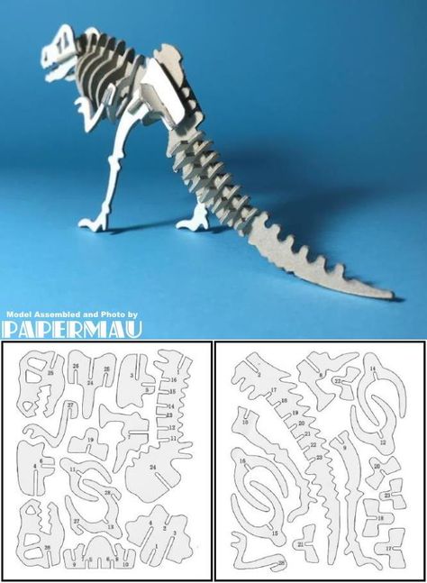 3d Dinosaur Puzzle, Paper Dinosaur, Cardboard Puzzle, Cardboard Model, Dinosaur Puzzles, Largest Dinosaur, Dinosaur Skeleton, Dinosaur Crafts, Science Project