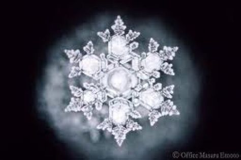 A water crystal's structure and presentation can actaully be altered by prayer.  Even polluted water can be changed into crystals of beauty.  The power of prayer is real. Masaru Emoto Water, Hidden Messages In Water, Water Crystals, Polluted Water, Masaru Emoto, Shinrin Yoku, Healing Waters, Water Energy, Sri Yantra