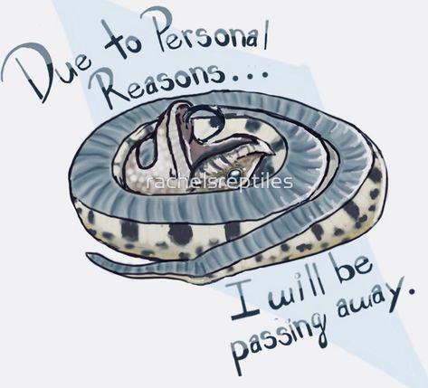 Snake Puns, Snake Meme, Snake Party, Hognose Snake, Snake Drawing, High School Survival, Corn Snake, Cute Snake, Snake Art