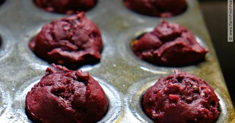 Shredded beets combined with cocoa powder and chocolate chips in a buttermilk-soaked oatmeal muffin. Farm share beets become a sweet treat! Chocolate Beet Muffins, Shredded Beets, Beet Muffins, Oatmeal Muffin, Beetroot Recipes, Raw Beets, Beet Recipes, Chocolate Chip Muffins, Breakfast Muffins