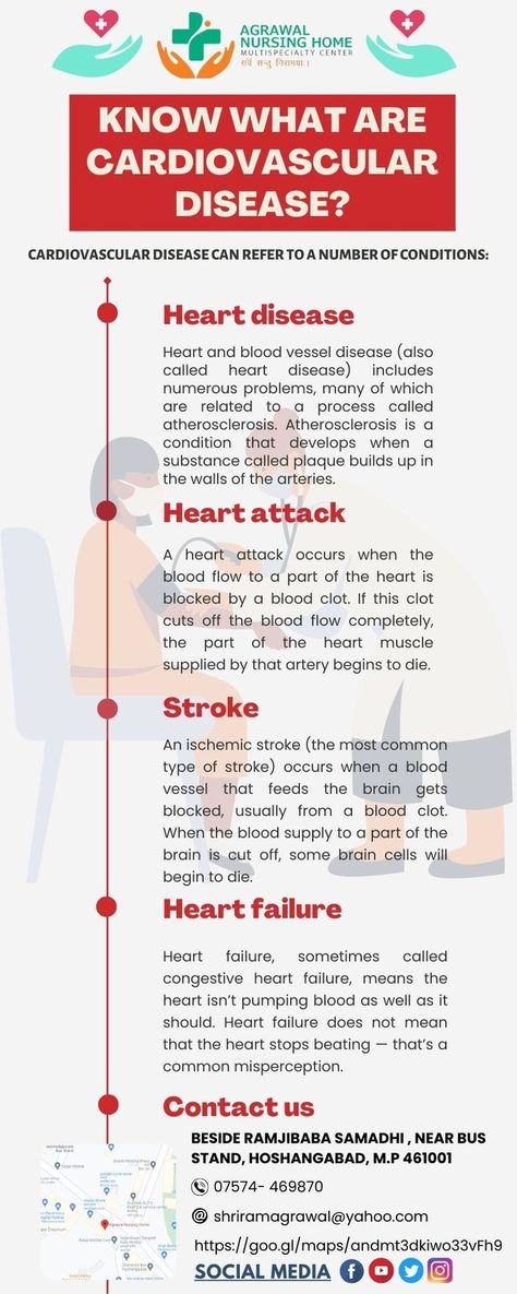 Get your complete heart health status at Agrawal Nursing Home, a Top Name of Cardiologist or Heart Specialist in Hoshangabad. they are highly experienced in major categories of heart diseases. getting pre heath check ups keeps you away from various heart disease or health conditions. Book your slot with the doctors to know more or watch this post for regular updates. "Follow Us:- Facebook https://www.facebook.com/profile.php?id=100067978616621 Med School Study, Nurse Inspiration, Parts Of The Heart, Medical School Studying, Medical School Essentials, Cardiovascular Disease, Nursing Home, School Essentials, Blood Vessels