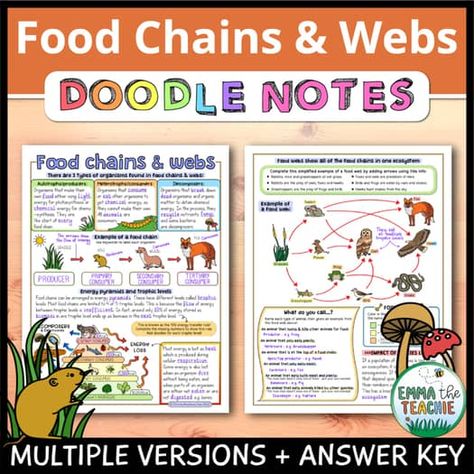 Emma the Teachie | Teachers Pay Teachers Energy Flow In Ecosystems, Food Chains And Food Webs, Food Webs, Science Pins, Trophic Level, Digital Interactive Notebook, Energy Pyramid, Food Chains, Doodle Notes